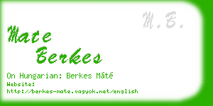 mate berkes business card